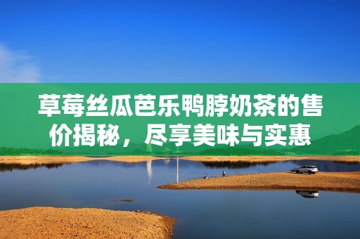 草莓丝瓜芭乐鸭脖奶茶的售价揭秘，尽享美味与实惠