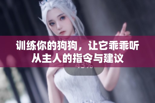 训练你的狗狗，让它乖乖听从主人的指令与建议