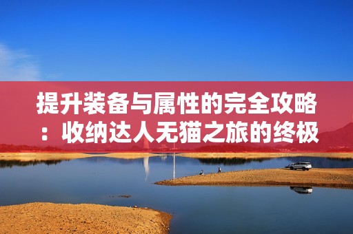 提升装备与属性的完全攻略：收纳达人无猫之旅的终极指南