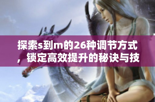 探索s到m的26种调节方式，锁定高效提升的秘诀与技巧