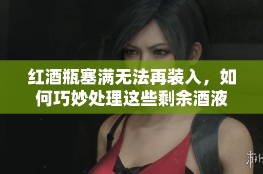红酒瓶塞满无法再装入，如何巧妙处理这些剩余酒液