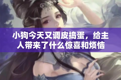 小狗今天又调皮捣蛋，给主人带来了什么惊喜和烦恼