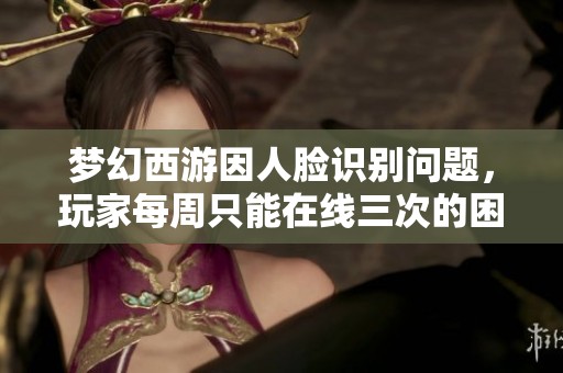 梦幻西游因人脸识别问题，玩家每周只能在线三次的困扰