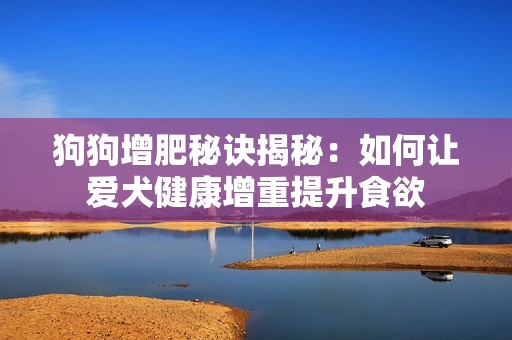 狗狗增肥秘诀揭秘：如何让爱犬健康增重提升食欲