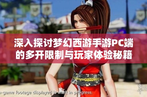 深入探讨梦幻西游手游PC端的多开限制与玩家体验秘籍