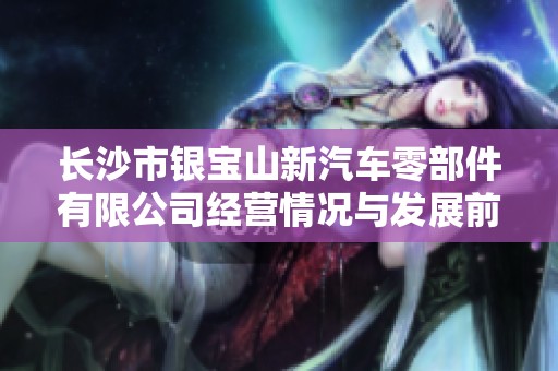 长沙市银宝山新汽车零部件有限公司经营情况与发展前景分析报告