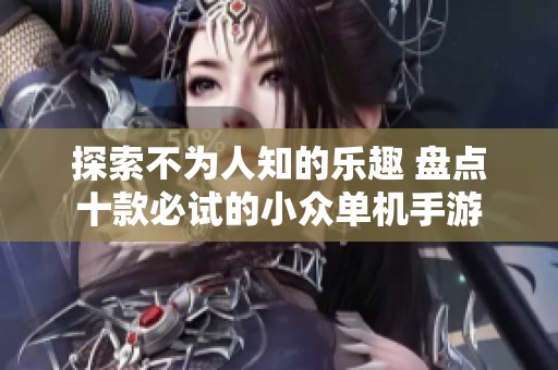 探索不为人知的乐趣 盘点十款必试的小众单机手游