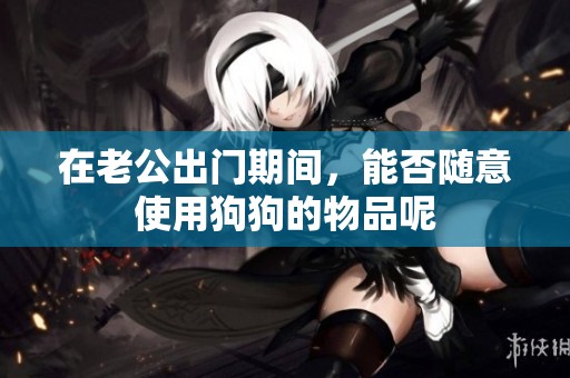 在老公出门期间，能否随意使用狗狗的物品呢