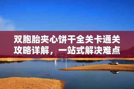 双胞胎夹心饼干全关卡通关攻略详解，一站式解决难点问题