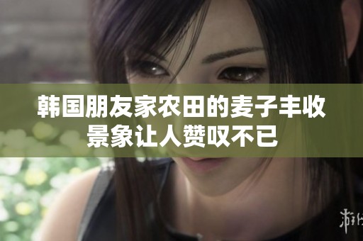 韩国朋友家农田的麦子丰收景象让人赞叹不已