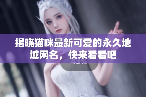 揭晓猫咪最新可爱的永久地域网名，快来看看吧