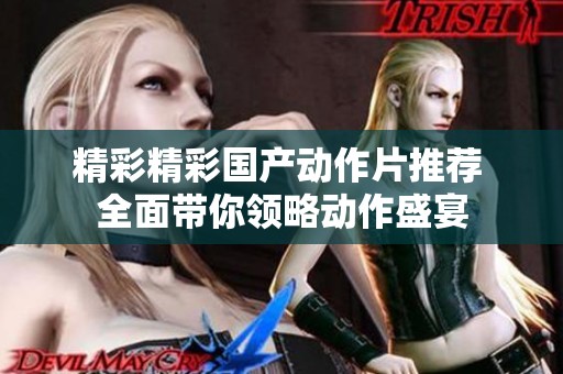 精彩精彩国产动作片推荐 全面带你领略动作盛宴