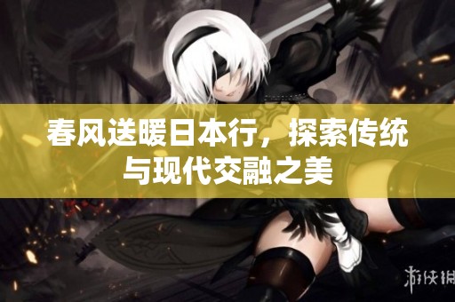 春风送暖日本行，探索传统与现代交融之美