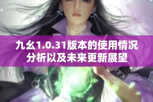 九幺1.0.31版本的使用情况分析以及未来更新展望