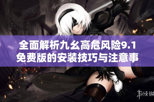 全面解析九幺高危风险9.1免费版的安装技巧与注意事项