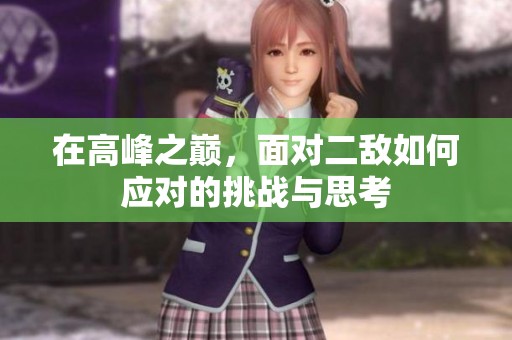 在高峰之巅，面对二敌如何应对的挑战与思考
