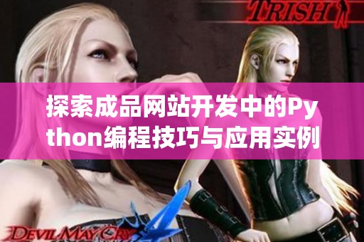 探索成品网站开发中的Python编程技巧与应用实例