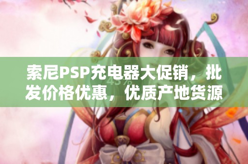 索尼PSP充电器大促销，批发价格优惠，优质产地货源推荐
