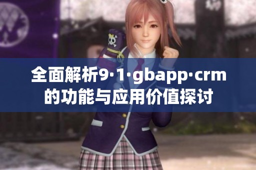 全面解析9·1·gbapp·crm的功能与应用价值探讨