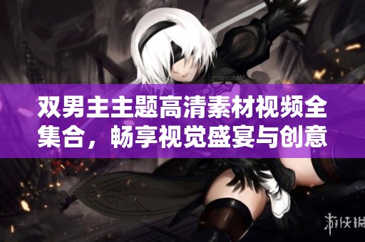 双男主主题高清素材视频全集合，畅享视觉盛宴与创意灵感