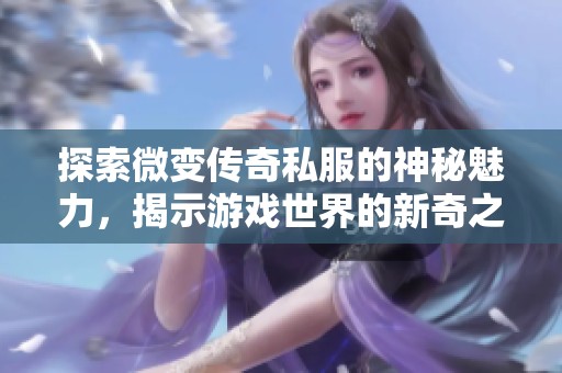 探索微变传奇私服的神秘魅力，揭示游戏世界的新奇之旅