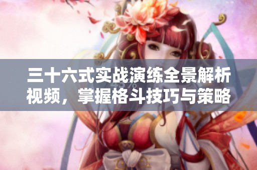 三十六式实战演练全景解析视频，掌握格斗技巧与策略