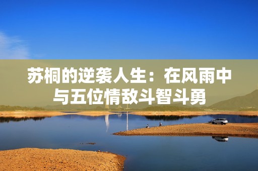 苏桐的逆袭人生：在风雨中与五位情敌斗智斗勇