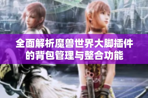 全面解析魔兽世界大脚插件的背包管理与整合功能