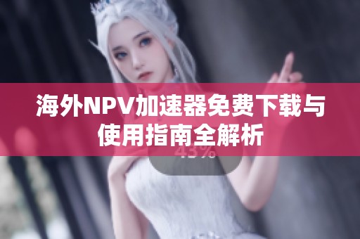 海外NPV加速器免费下载与使用指南全解析