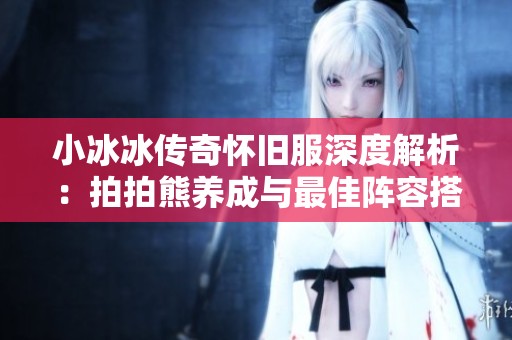 小冰冰传奇怀旧服深度解析：拍拍熊养成与最佳阵容搭配策略