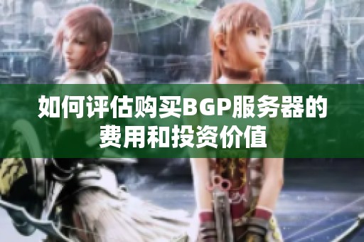 如何评估购买BGP服务器的费用和投资价值