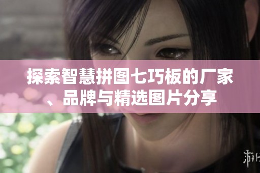 探索智慧拼图七巧板的厂家、品牌与精选图片分享