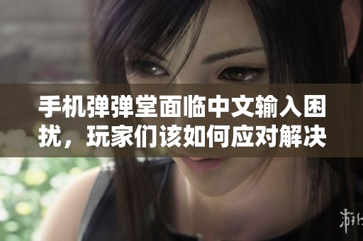 手机弹弹堂面临中文输入困扰，玩家们该如何应对解决？