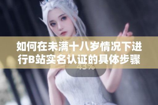 如何在未满十八岁情况下进行B站实名认证的具体步骤与建议