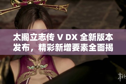 太阁立志传 V DX 全新版本发布，精彩新增要素全面揭秘