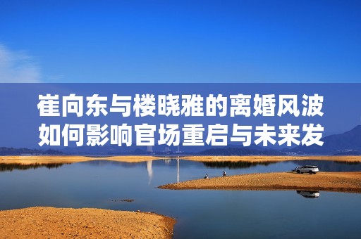 崔向东与楼晓雅的离婚风波如何影响官场重启与未来发展