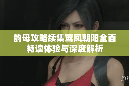 韵母攻略续集鸾凤朝阳全面畅读体验与深度解析