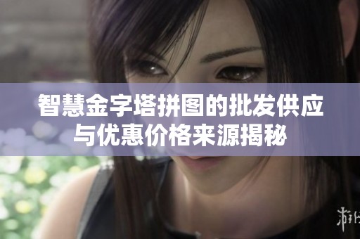 智慧金字塔拼图的批发供应与优惠价格来源揭秘