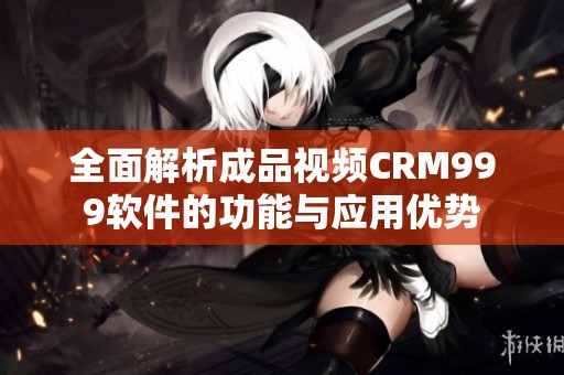 全面解析成品视频CRM999软件的功能与应用优势