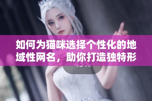 如何为猫咪选择个性化的地域性网名，助你打造独特形象