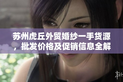 苏州虎丘外贸婚纱一手货源，批发价格及促销信息全解读