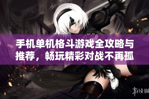 手机单机格斗游戏全攻略与推荐，畅玩精彩对战不再孤单