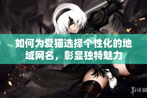 如何为爱猫选择个性化的地域网名，彰显独特魅力
