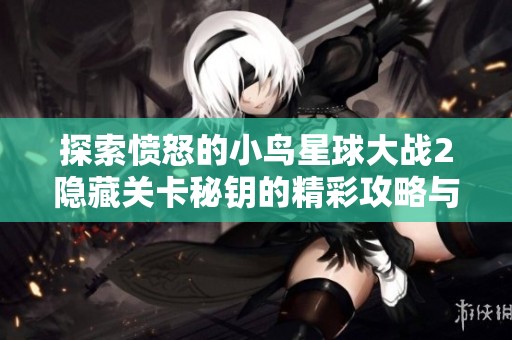 探索愤怒的小鸟星球大战2隐藏关卡秘钥的精彩攻略与技巧