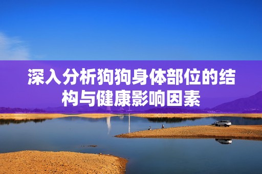 深入分析狗狗身体部位的结构与健康影响因素