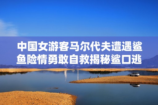 中国女游客马尔代夫遭遇鲨鱼险情勇敢自救揭秘鲨口逃生技巧
