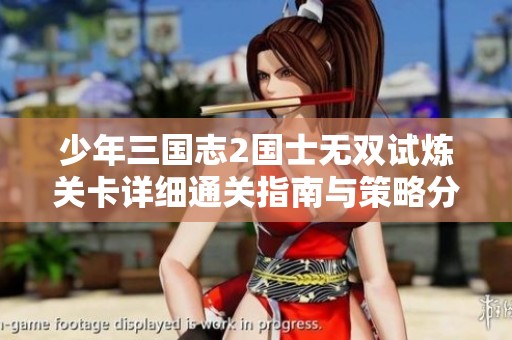 少年三国志2国士无双试炼关卡详细通关指南与策略分享