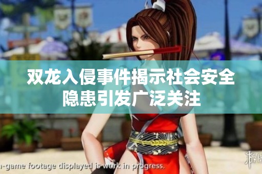 双龙入侵事件揭示社会安全隐患引发广泛关注