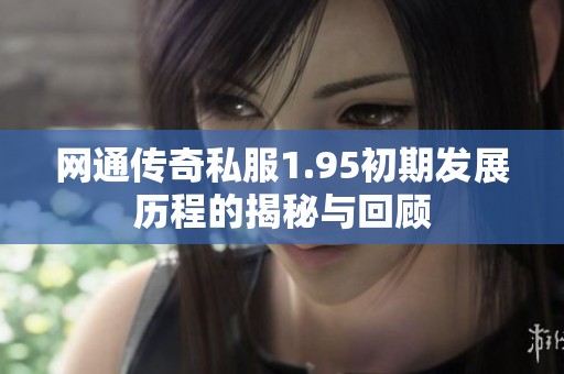 网通传奇私服1.95初期发展历程的揭秘与回顾