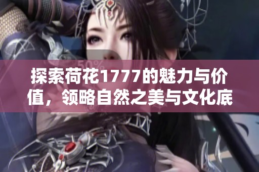 探索荷花1777的魅力与价值，领略自然之美与文化底蕴